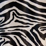 Zebra 480